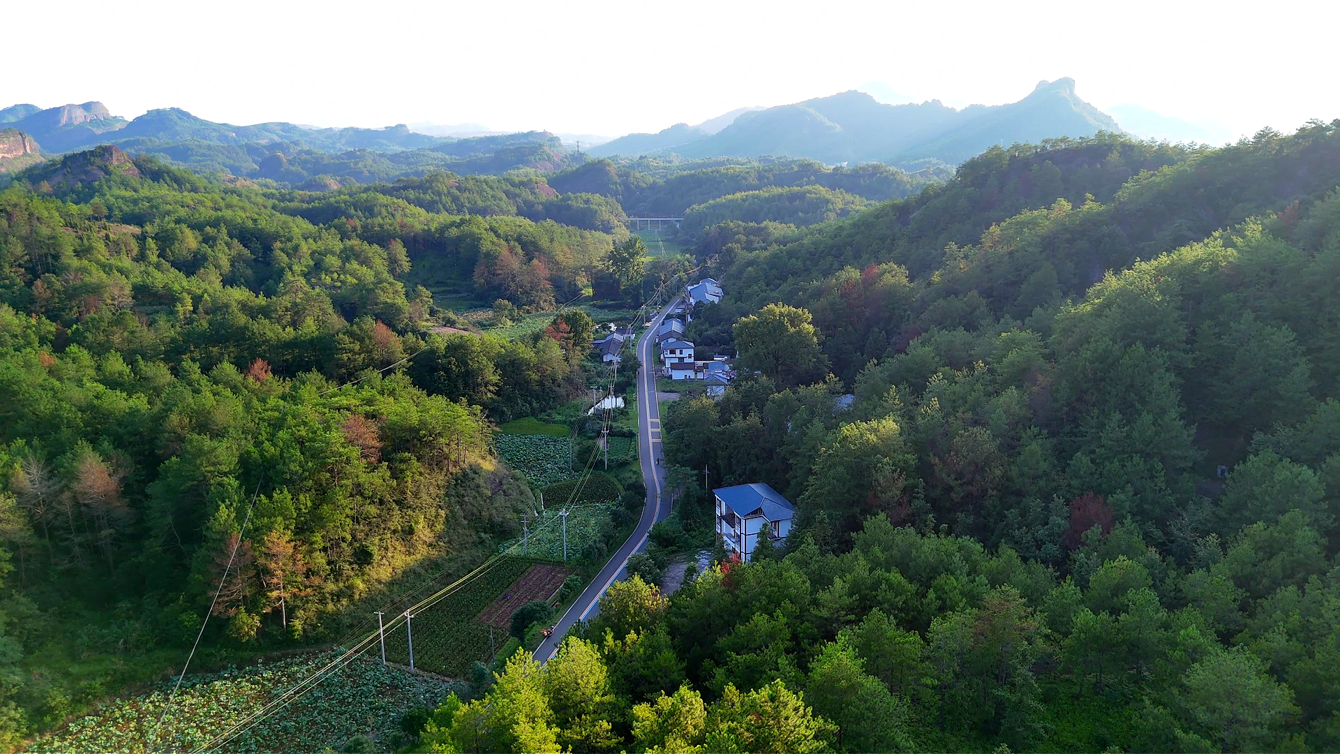 石城县大畲村。